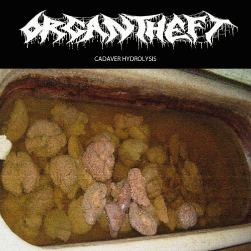 Organ Theft : Cadaver Hydrolysis Organ Theft : Cadaver Hydrolysis